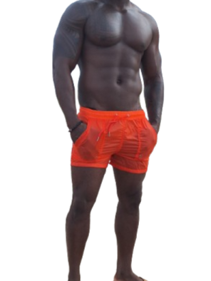 Transparent Beach Shorts