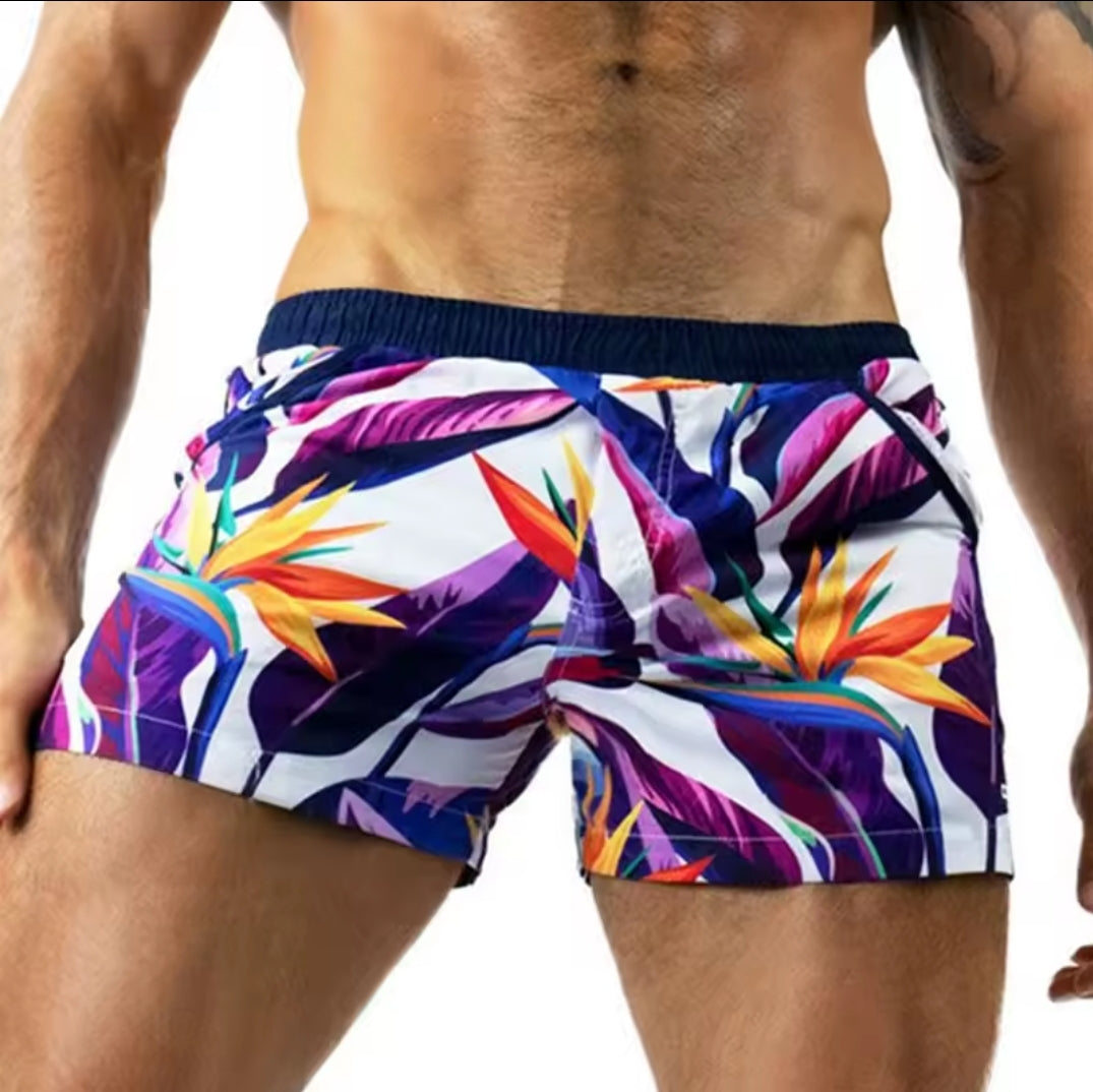 Beach Shorts - New