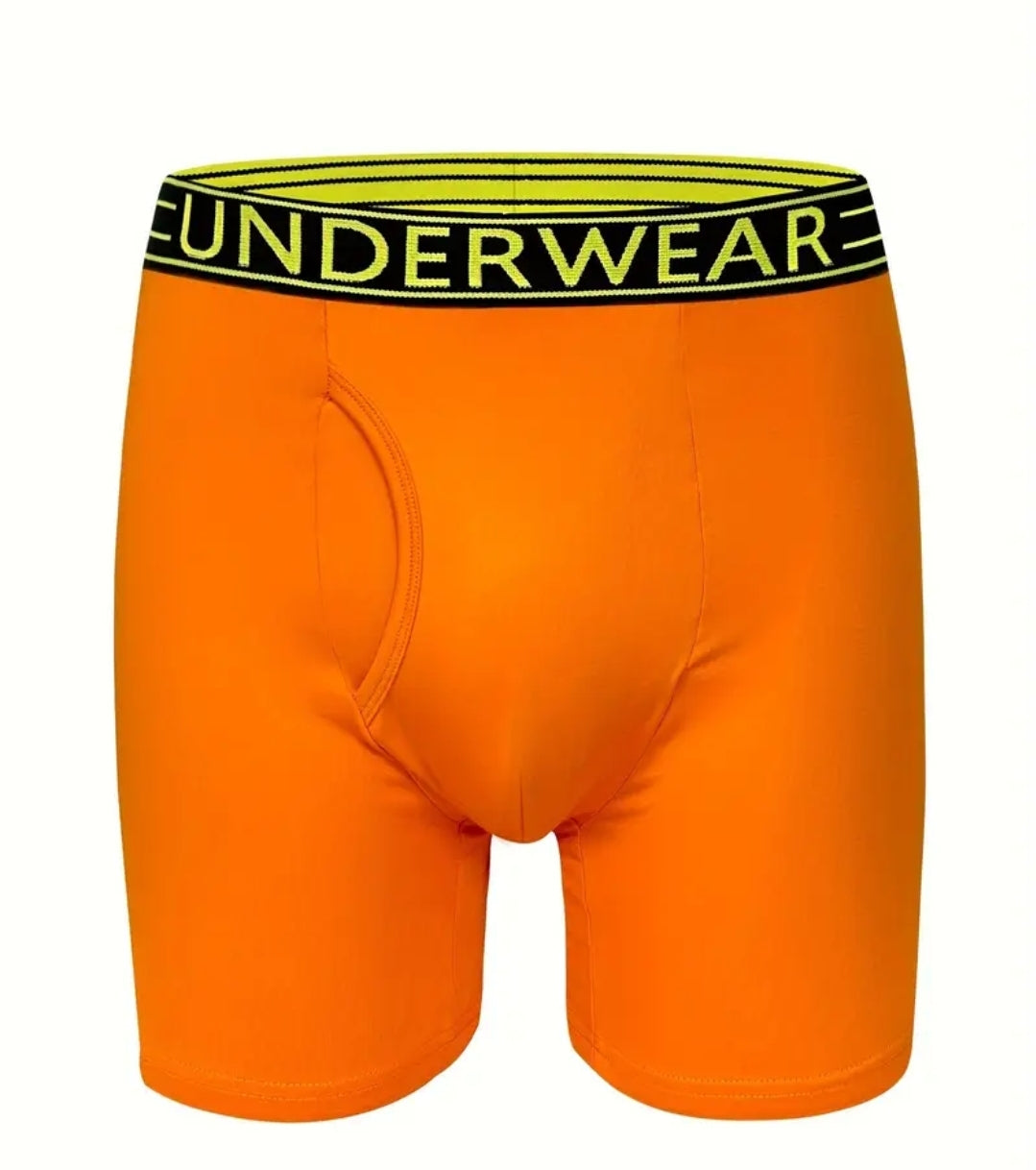 Underwear Boxer Brief