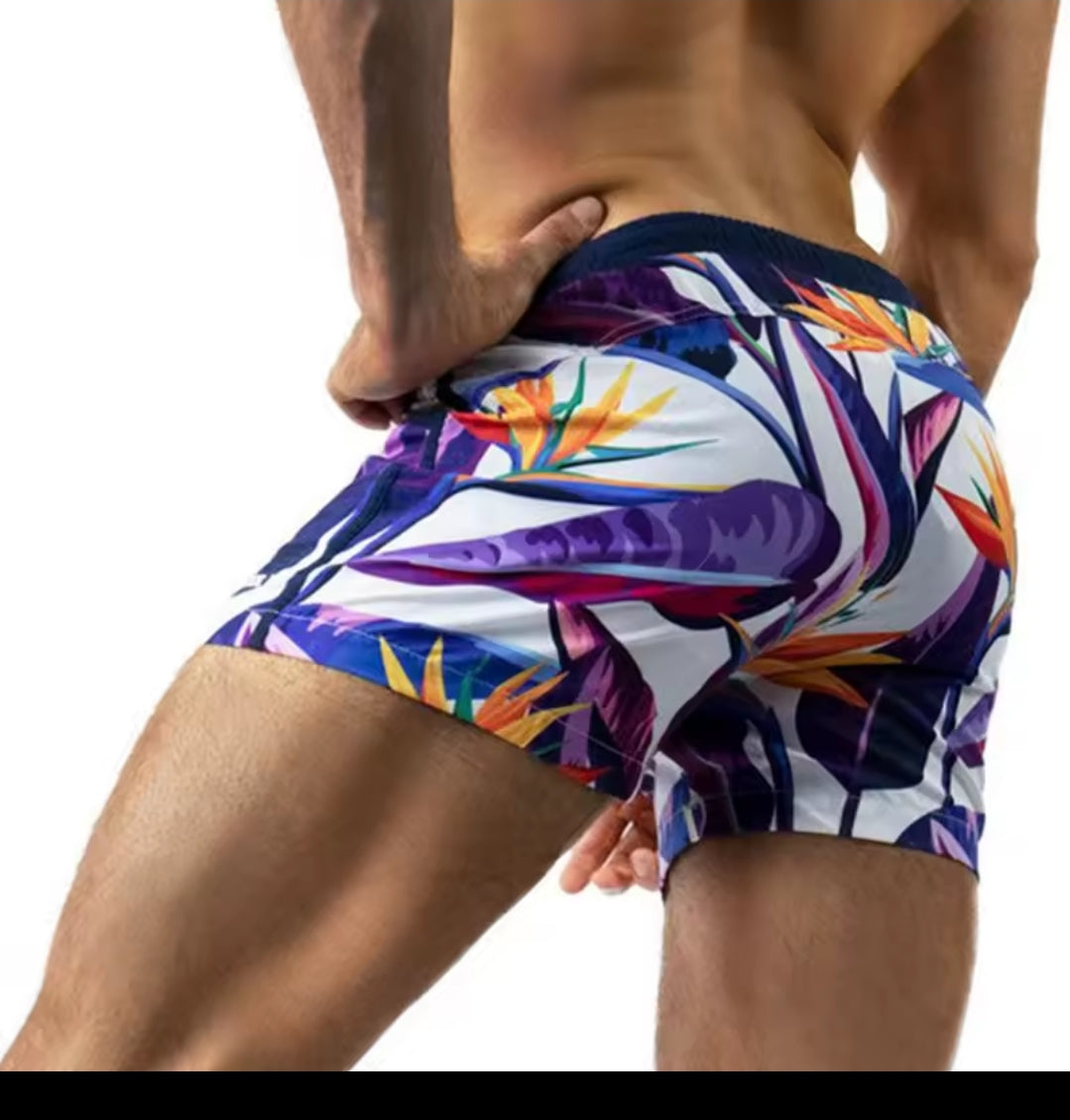 Beach Shorts - New
