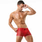 Men Mesh Shorts